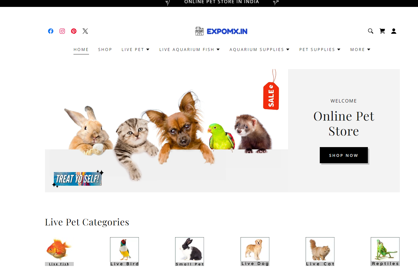 Expomx Pet store
