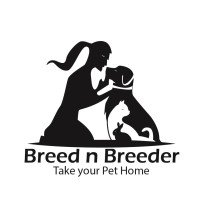 Breed n Breeder Logo